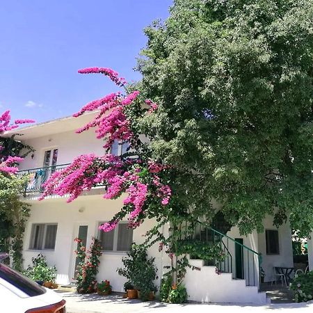 Apartments Martin ドルヴェニク エクステリア 写真