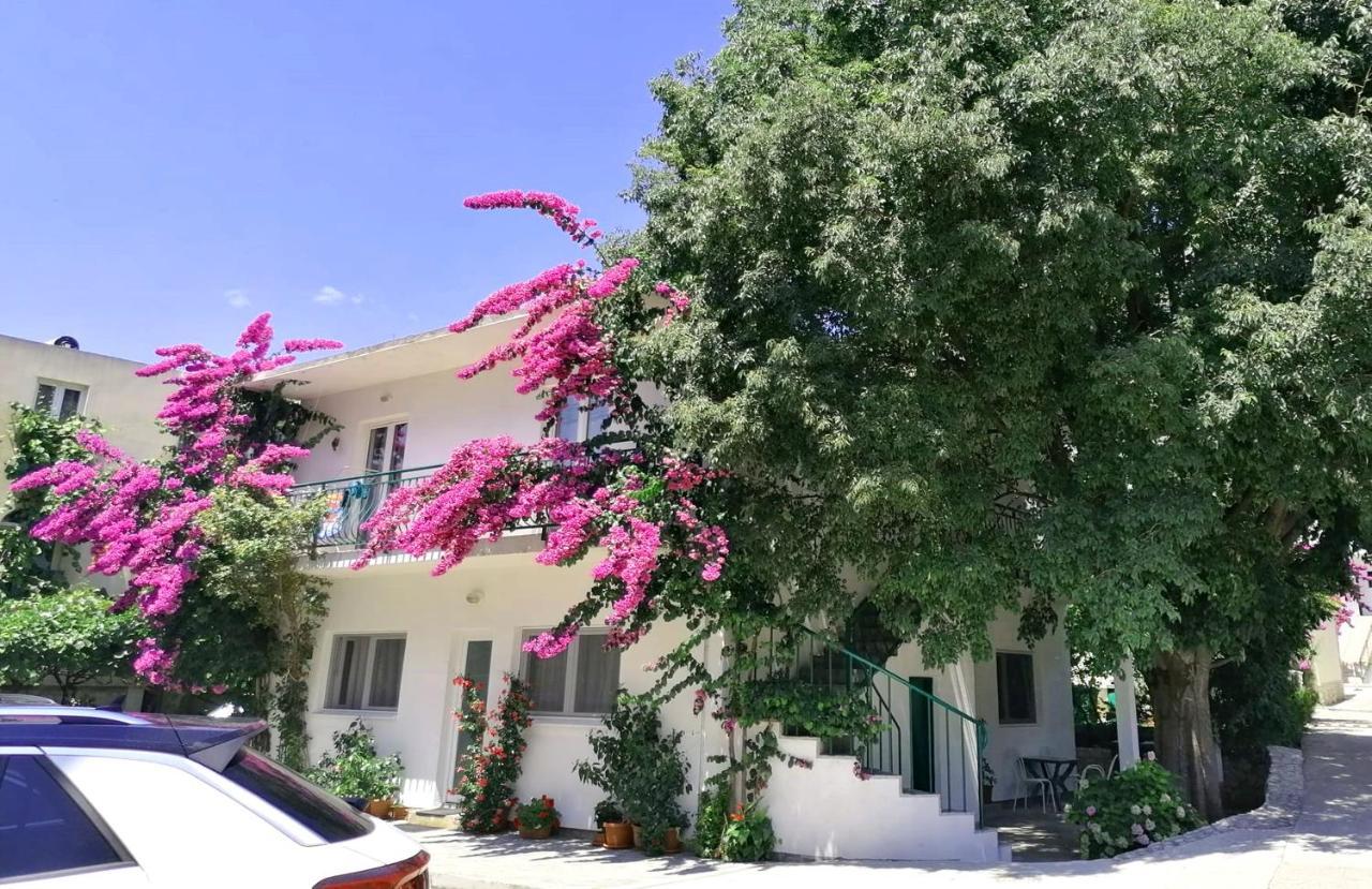 Apartments Martin ドルヴェニク エクステリア 写真