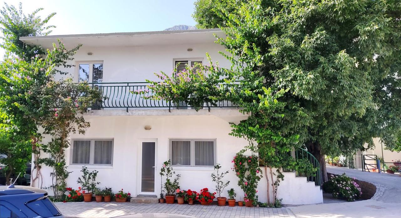 Apartments Martin ドルヴェニク エクステリア 写真